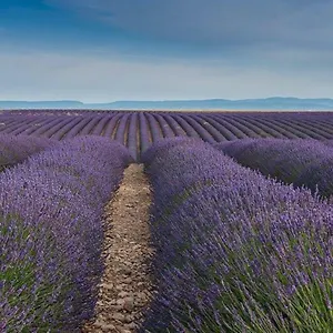 https://studio-meuble-face-au-arenes-darles.fr-provencehotel.com