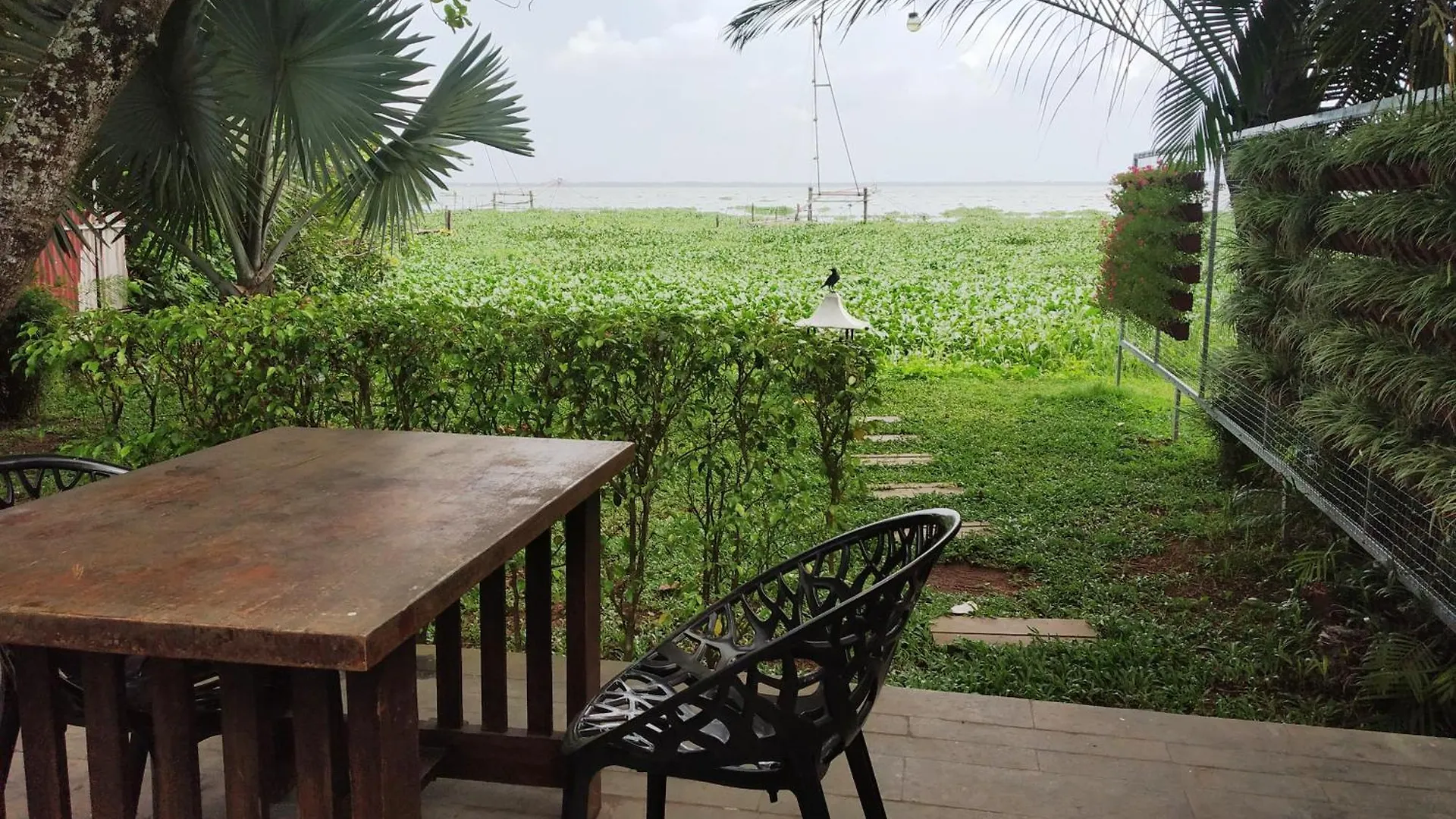 Deshadan Backwater Resort - The Best Sunrise View Alappuzha India
